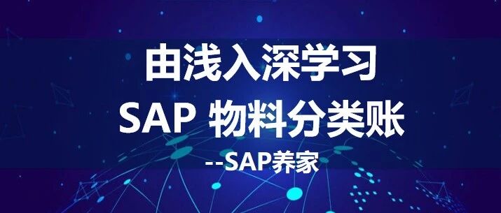 由浅入深学习 SAP 物料分类账_概览 - 封面图