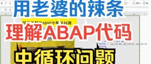 SAP 养家用辣条理解 ABAP 中循环问题 - 封面图