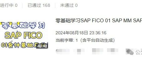 当下 SAP 顾问该如何突破 - 封面图
