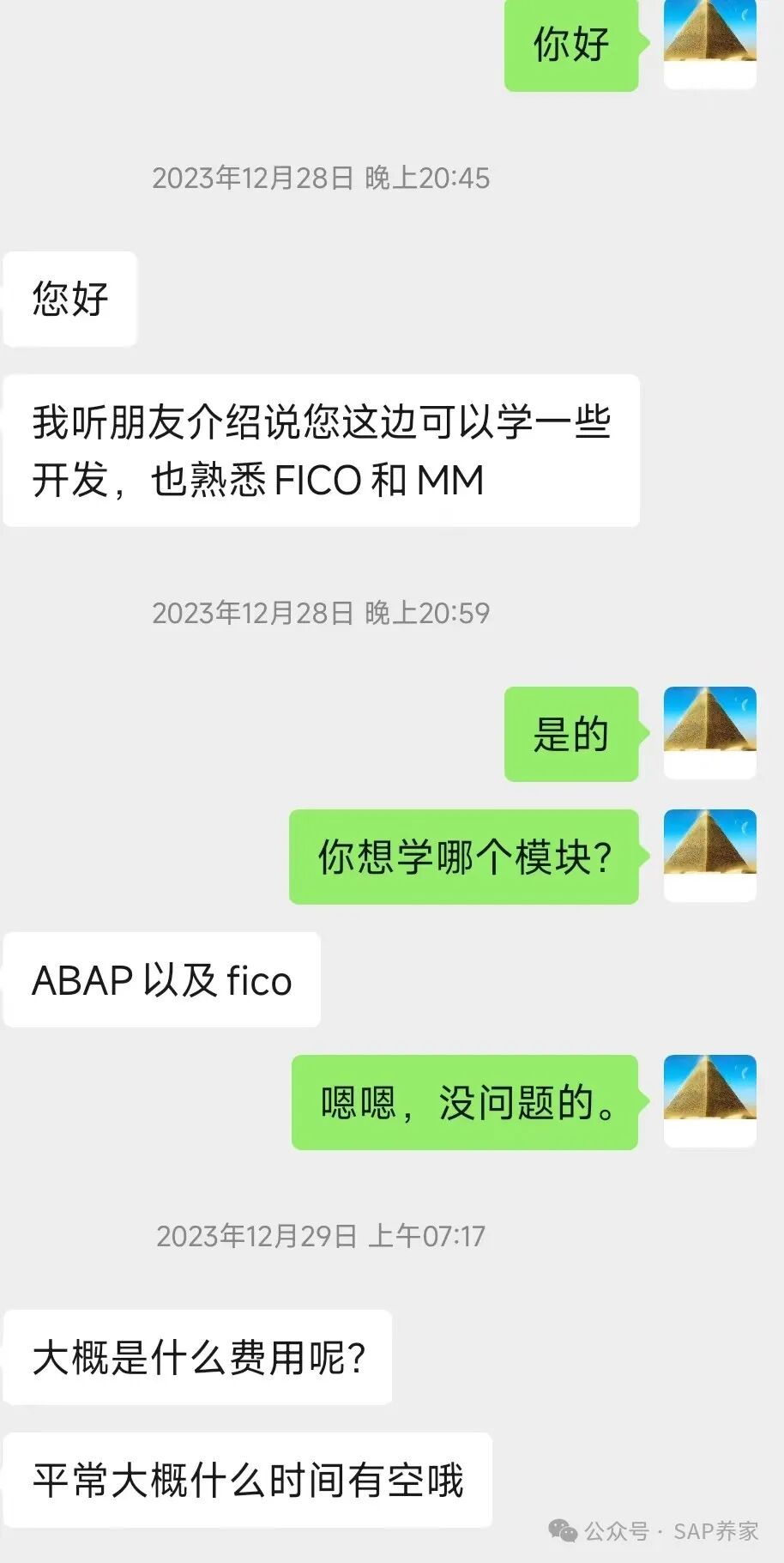 当下 SAP 顾问该如何突破 - 封面图