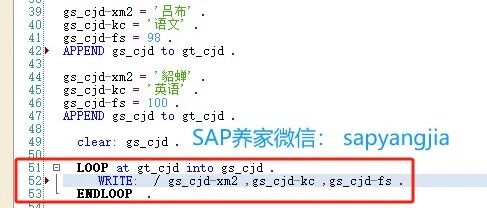 SAP 中用 ABAP 思维来沟通业务逻辑 - 封面图