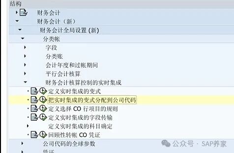 SAP 中 CO 凭证为何不生产 FI 凭证 - 封面图