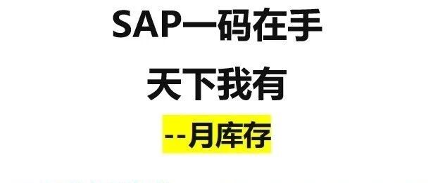 SAP 一码在手天下我有之月库存 - 封面图