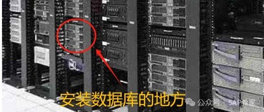 SAP 中底表的由来 - 封面图