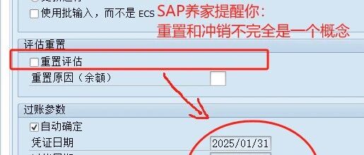 SAP 中最坑人的外币评估 - 封面图