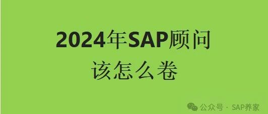2024年 SAP 顾问该怎么卷 - 封面图