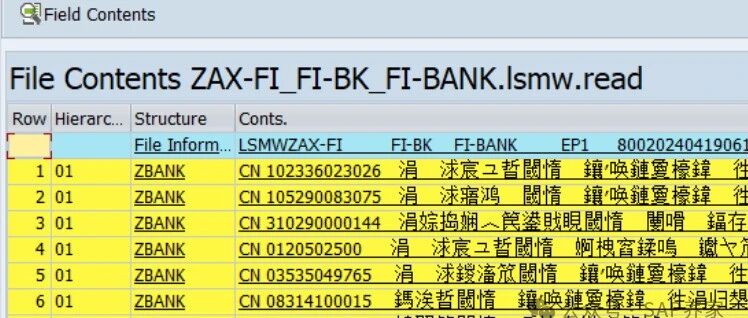SAP 批导 LSMW 为什么是乱码 - 封面图