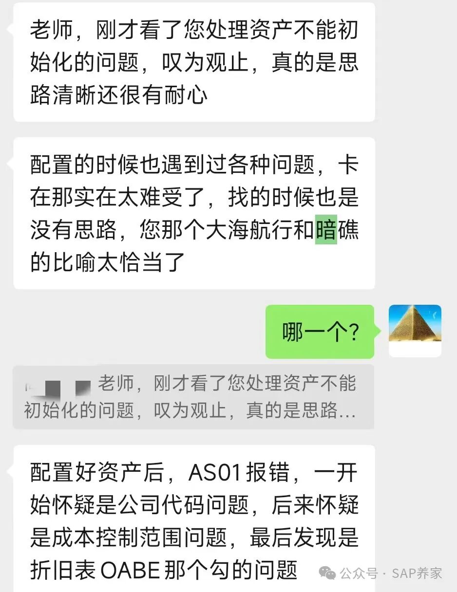 SAP 学习与大海航行 - 封面图