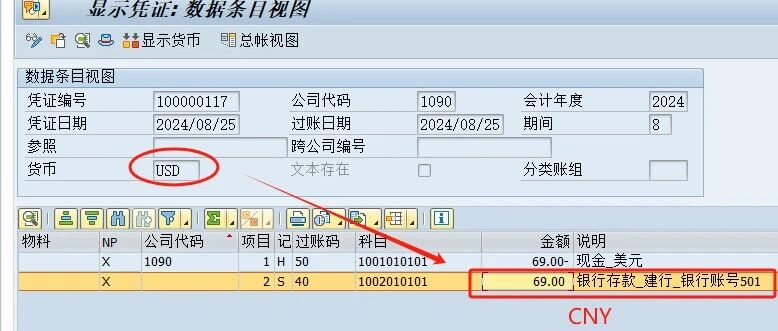 SAP 中最最坑人的外币来了 - 封面图