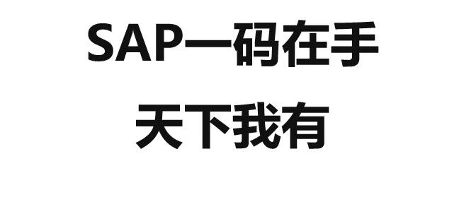 SAP 一码在手天下我有 - 封面图
