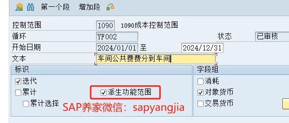 SAP 派生功能范围 - 封面图