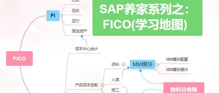 S4HANAFICO 提高篇 - 封面图