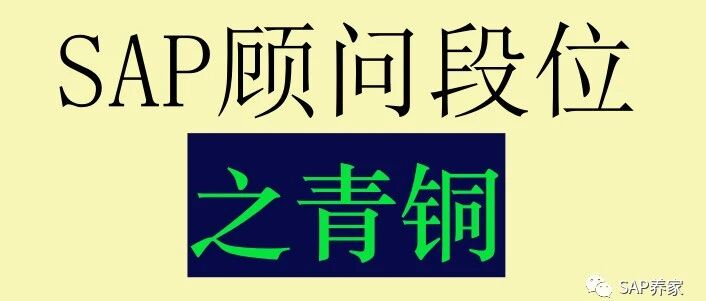 SAP 顾问段位之青铜 MIR7发票预制 MIRO 采购对账 - 封面图