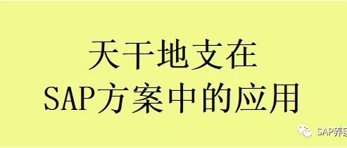 天干地支在 SAP 方案中的应用 - 封面图
