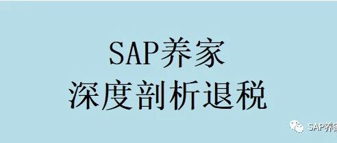 SAP 养家也谈个人所得税退税 - 封面图