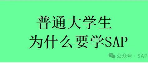 2024春节有感普通大学生为什么要学 SA - 封面图