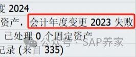 2024年 SAP 年结 S4HANA 版之 FAGLGVTR 科目余额结转失败篇 - 封面图
