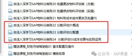 SAP 中分割评估是什么 - 封面图