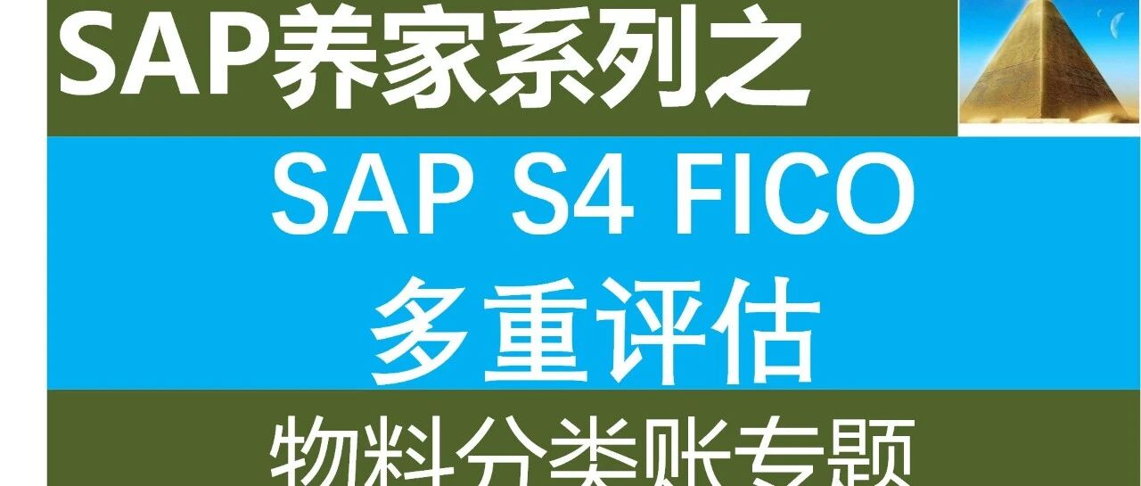 SAPFICO 多重评估是什么物料分类账 - 封面图