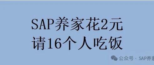 SAP 养家花2元请16个人吃饭 - 封面图