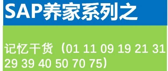 SAP 统驭科目详解 - 封面图