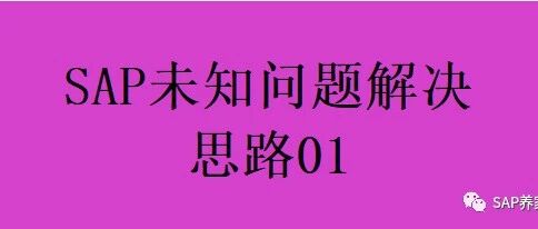 SAP 未知问题解决思路01 - 封面图