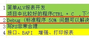 SAP 顾问用 Debug 确定解决问题的方向 - 封面图