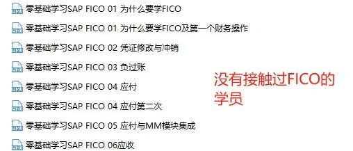 2025版零基础免费学习 SAPFICO - 封面图
