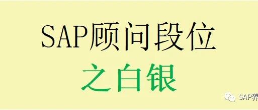 SAP 顾问段位之白银 MIR7发票预制 MIRO 采购对账 - 封面图