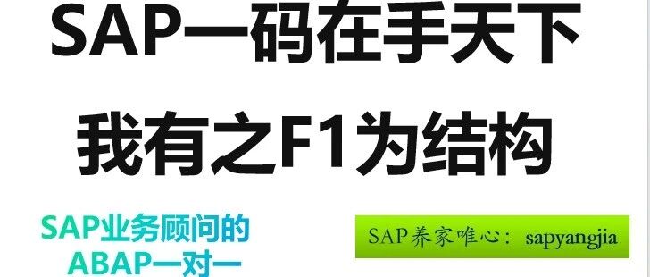 SAP 一码在手天下我有之 F1为结构 - 封面图