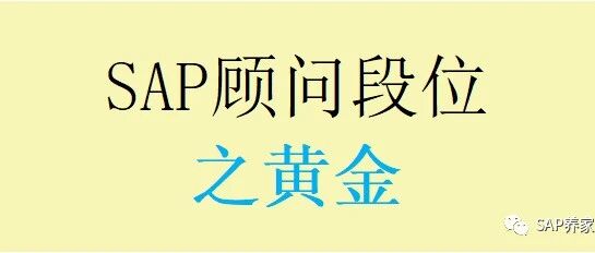 SAP 顾问段位之黄金 MIR7发票预制 MIRO 采购对账 - 封面图