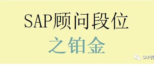 SAP 顾问段位之铂金 MIR7发票预制 MIRO 采购对账 - 封面图