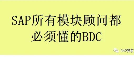 SAP 所有模块顾问都必须懂的 BDC - 封面图