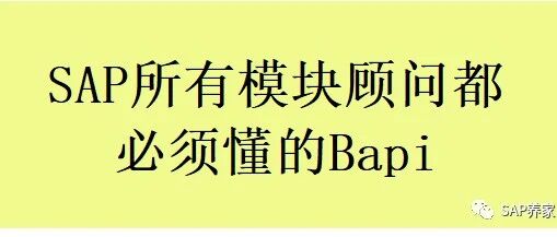SAP 所有模块顾问都必须懂的 BAPI - 封面图
