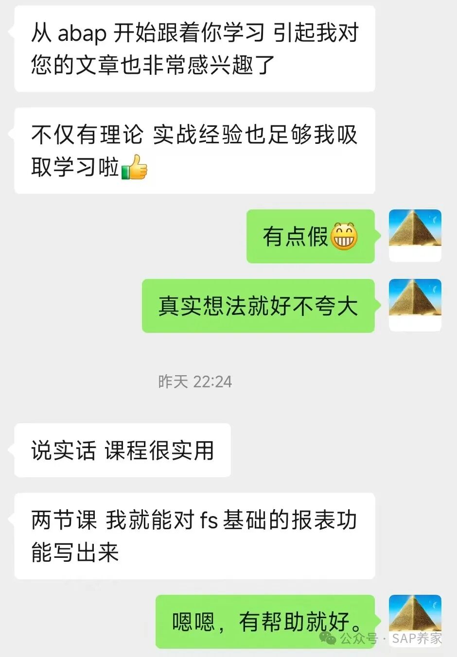 SAP 开发说明书 FS 该怎么写 - 封面图