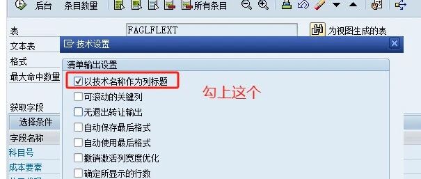 SAPFICO 模块科目余额 FS 该怎么写 - 封面图