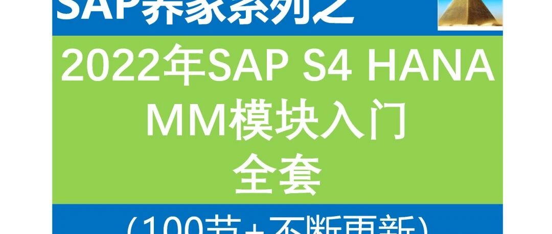 SAP202与201冲销的区别强烈推荐 - 封面图