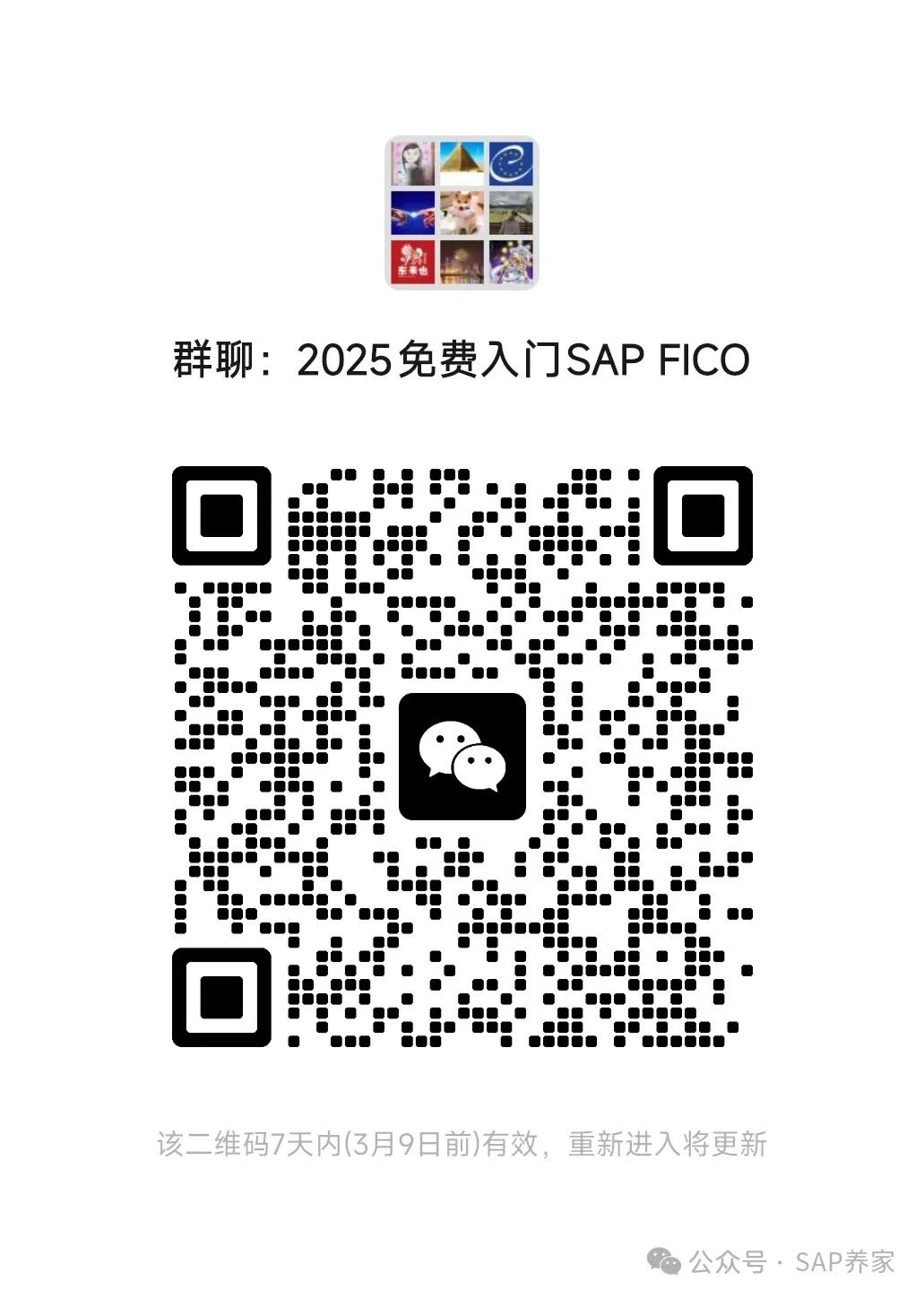 2025版零基础免费学习 SAPFICO - 封面图