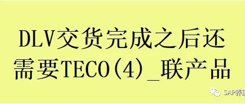 DLV 交货完成之后还需要 TECO4联产品 - 封面图