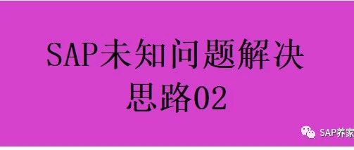 SAP 未知问题解决思路02 - 封面图