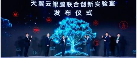 天翼云与华为大动作：发布天翼云鲲鹏联合创新实验室！