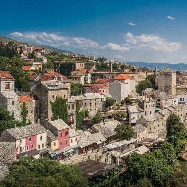 多个发达国家陷入断网泥潭，保持开放多元市场才能更好应对