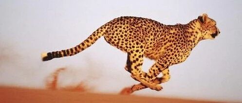 扫描5G确定性网络产业峰会：一年多成果曝光，未来深耕3大方向