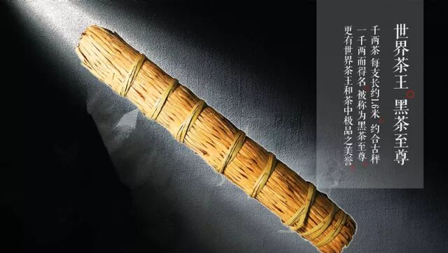 千两茶的历史起源和制作工艺