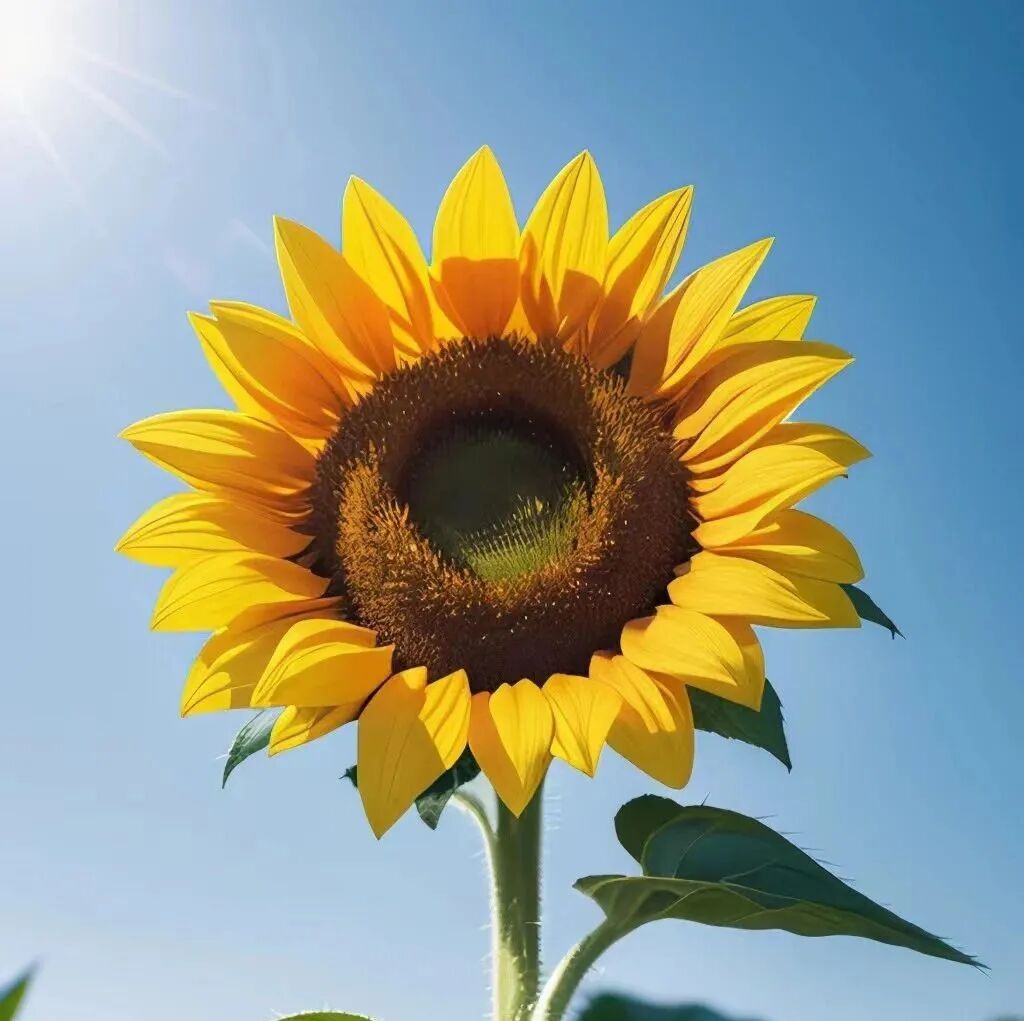 治疗足癣最好的方法有哪些