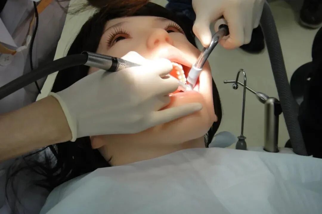 会叫疼的硅胶娃娃 高能慎入 历史灼见 每日精选公众号文章