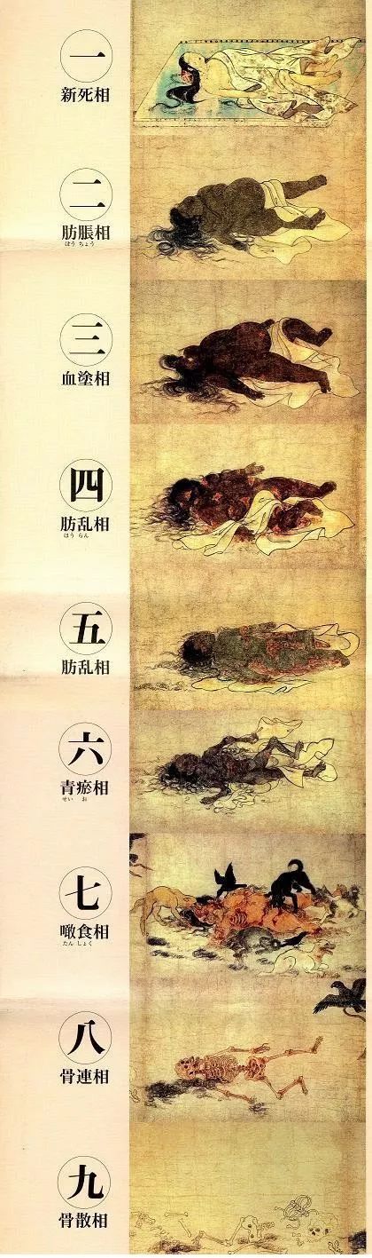 驚悚！島國古畫九相圖，記錄屍體腐爛的詳細過程..... 靈異 第20張