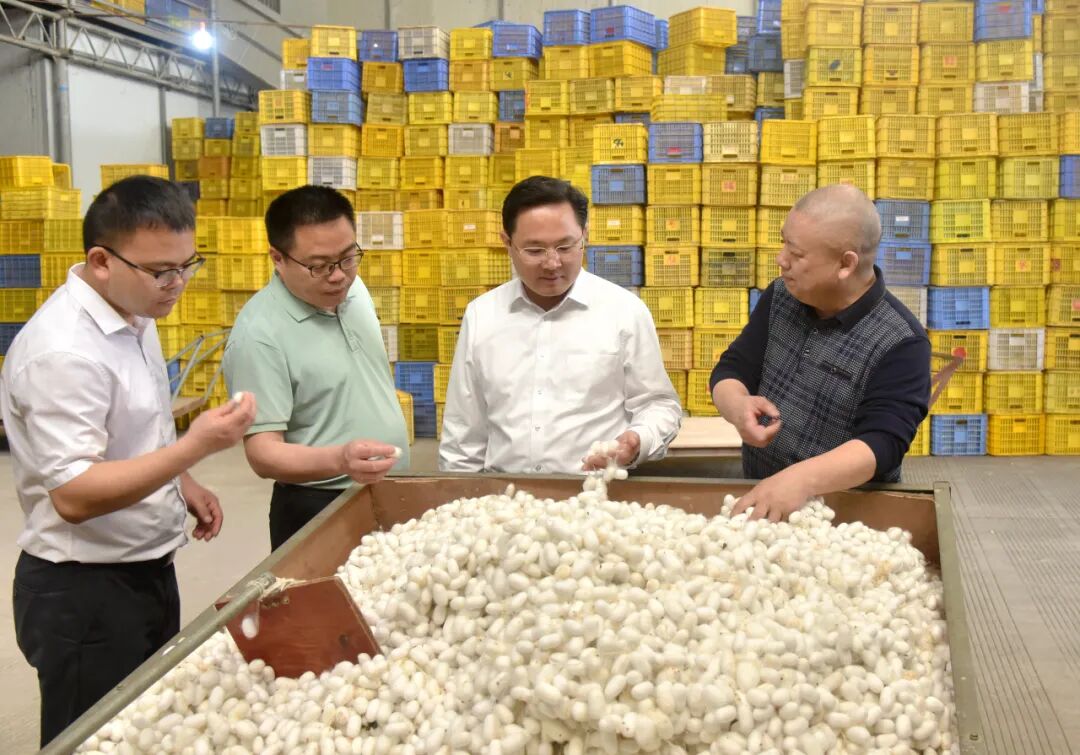 薛海源到企业开展四下基层调研时强调全力支持企业做大做强做优为高