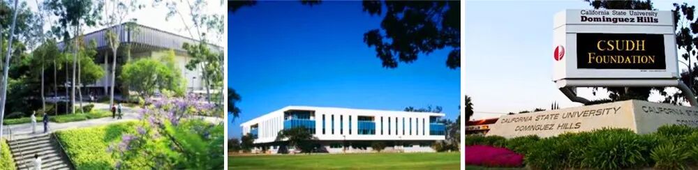 2018�������ٴγ��� ���Ÿ��������޿���