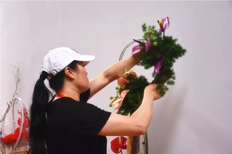 宏圖大展·河南省首屆紅掌插花花藝大賽圓滿落幕！